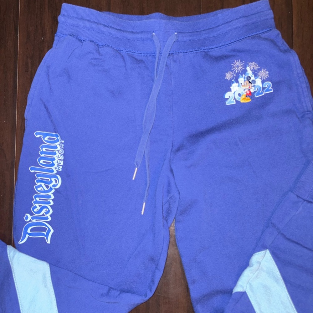 Disney Royal Blue Women's Joggers with Character Print